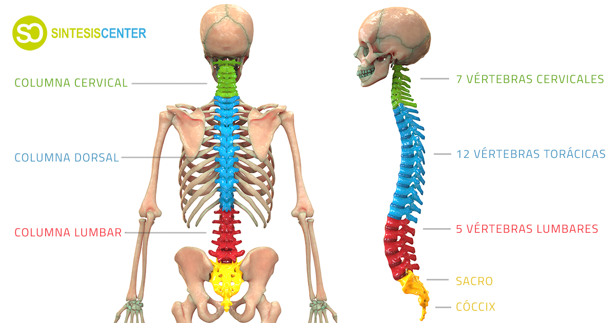 En qué casos el dolor de espalda puede ser indicativo de una